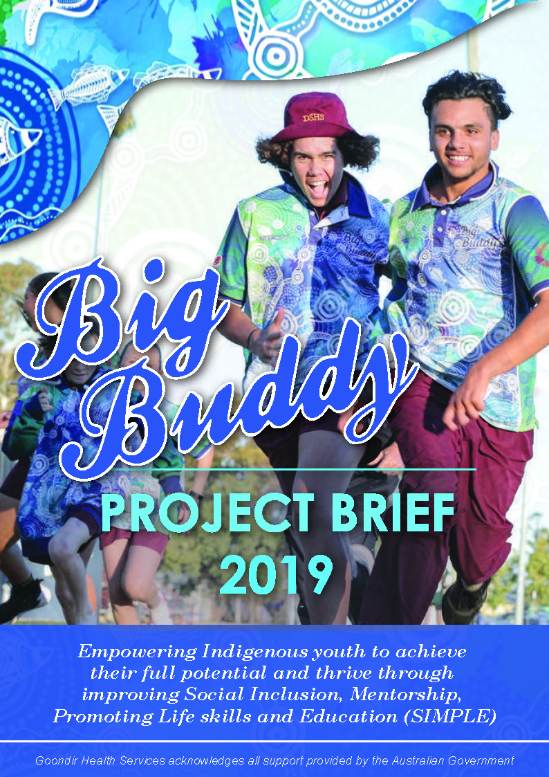 Big Buddy Project Brief